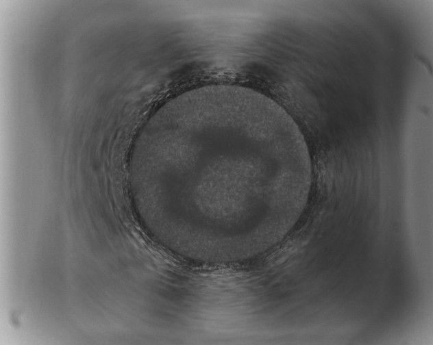 X0000102770769200809021029