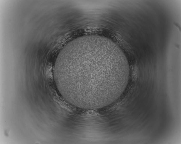 X0000102770770200809021029