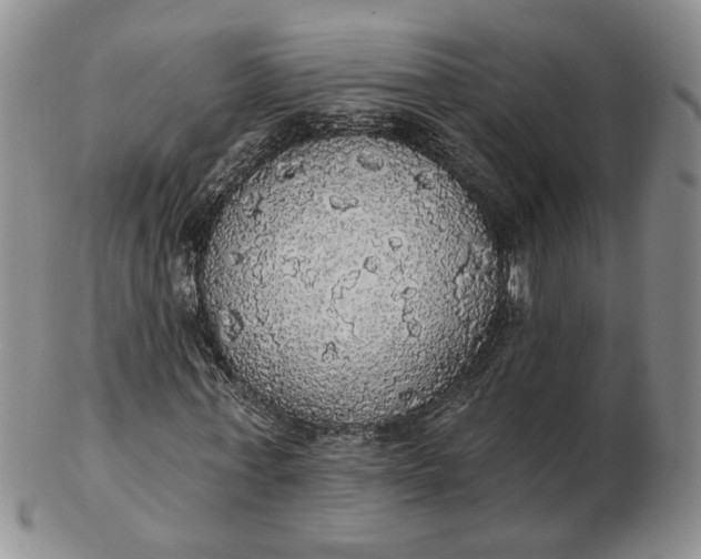 X0000102770771200809021029