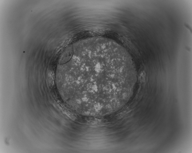 X0000102770772200809021029