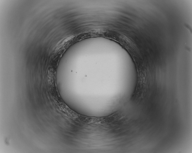 X0000102770773200809021029