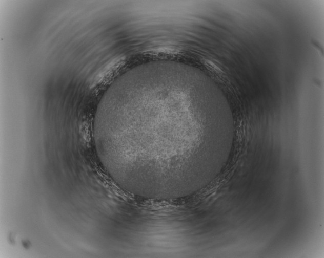 X0000102770774200809021029