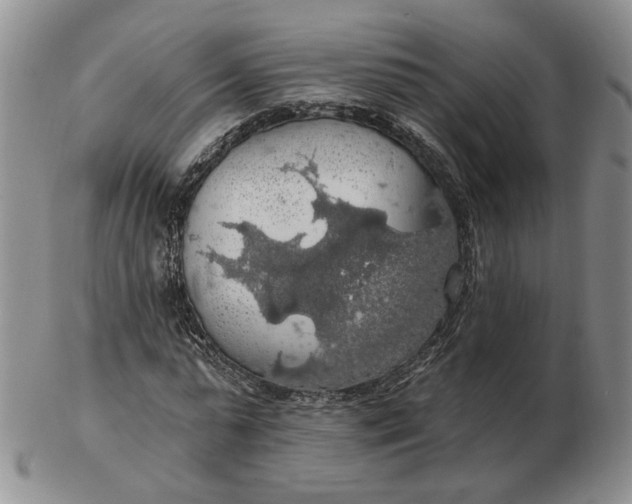 X0000102770775200809021029