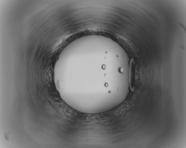 X0000102770776200809021029