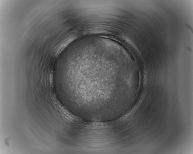 X0000102770777200809021029