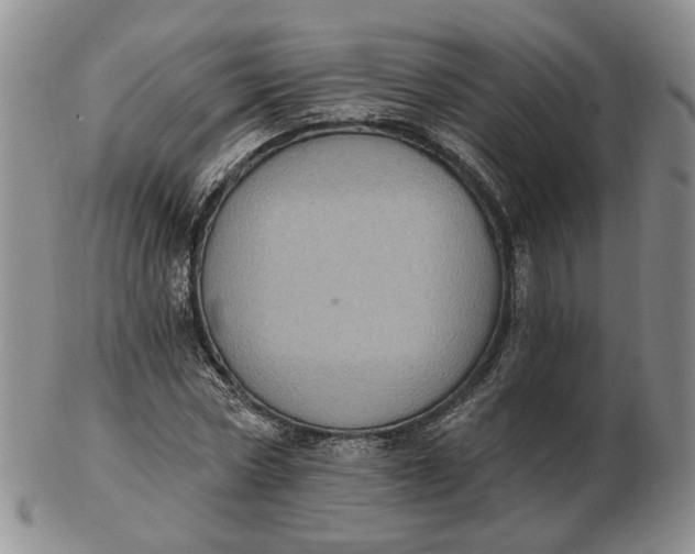 X0000102770778200809021029