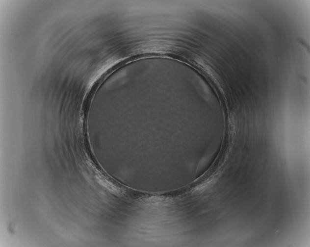 X0000102770779200809021029