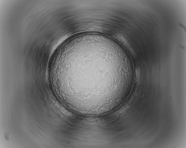 X0000102770780200809021029