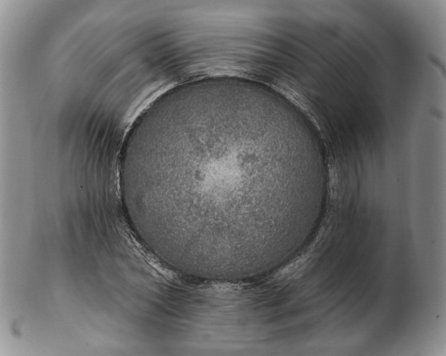 X0000102770782200809021028