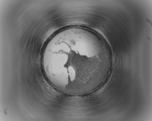 X0000102770783200809021028