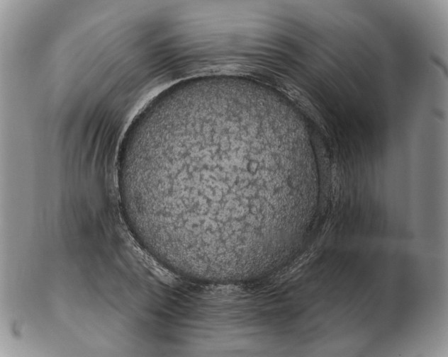 X0000102770784200809021028