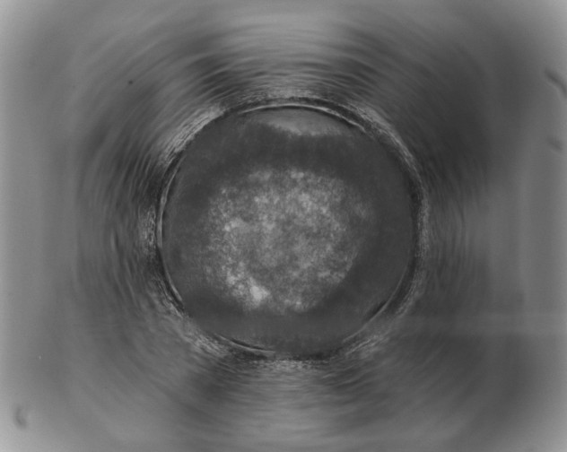 X0000102770785200809021028