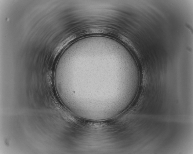 X0000102770786200809021028