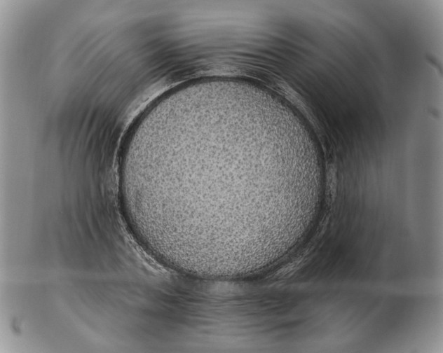 X0000102770787200809021028