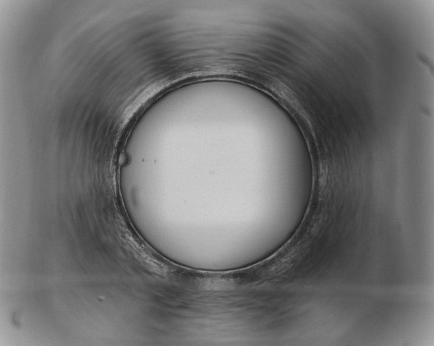 X0000102770789200809021028