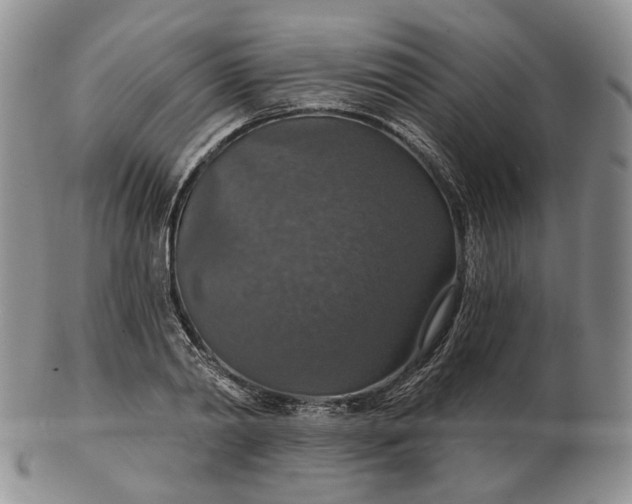 X0000102770790200809021028