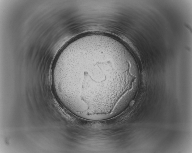 X0000102770791200809021028