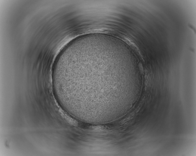 X0000102770792200809021028