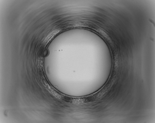 X0000102770793200809021028