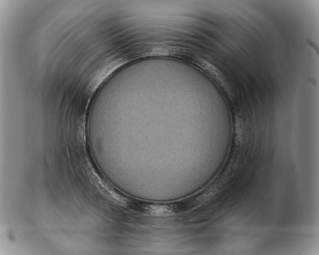 X0000102770794200809021028