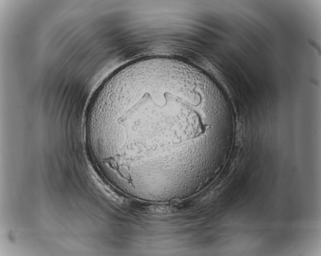 X0000102770795200809021028