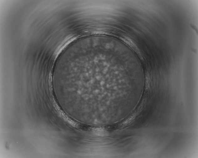 X0000102770798200809021028