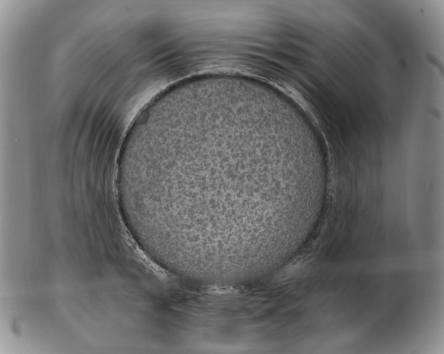 X0000102770799200809021028