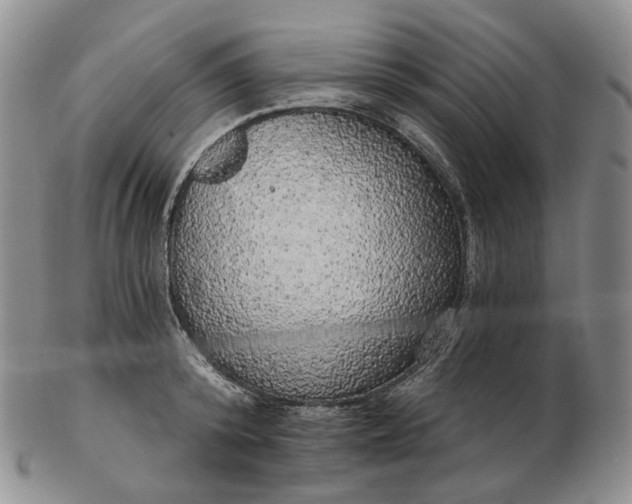 X0000102770800200809021028