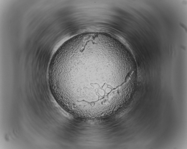 X0000102770803200809021028