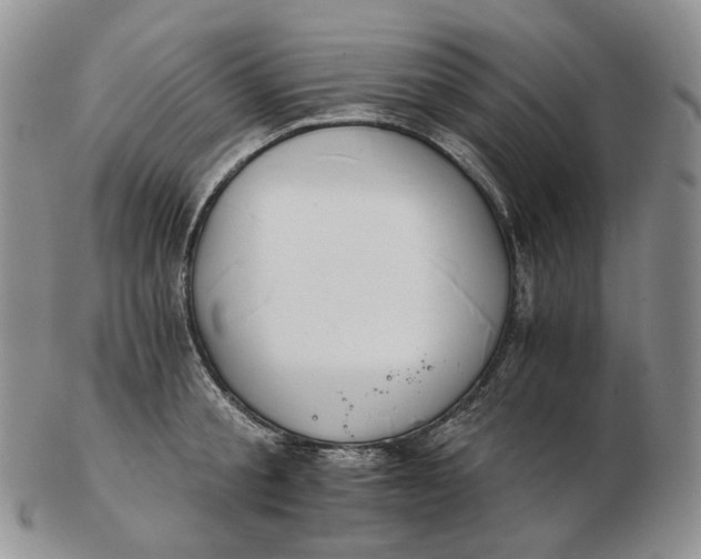 X0000102770805200809021028