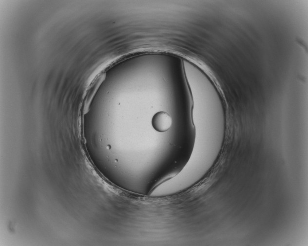 X0000102770807200809021028