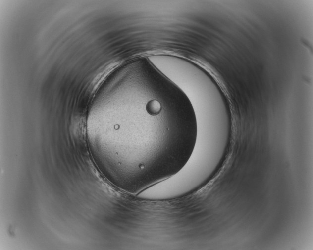 X0000102770809200809021028