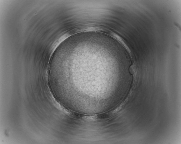 X0000102770810200809021028