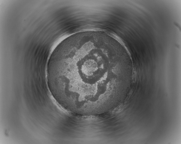 X0000102770811200809021028