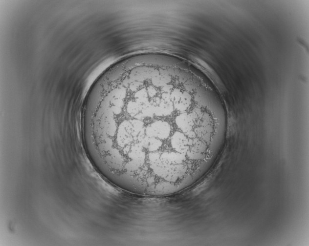 X0000102770812200809021028