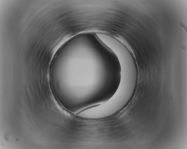 X0000102770813200809021028