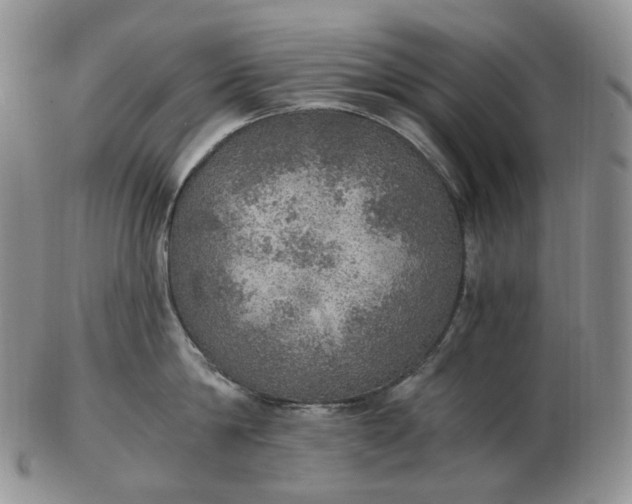 X0000102770814200809021028