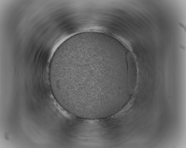 X0000102770816200809021028