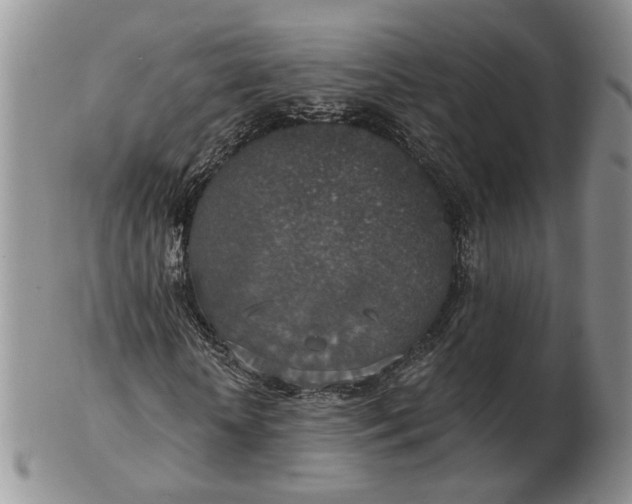 X0000102770818200809021027