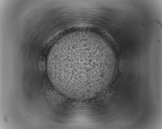 X0000102770821200809021027