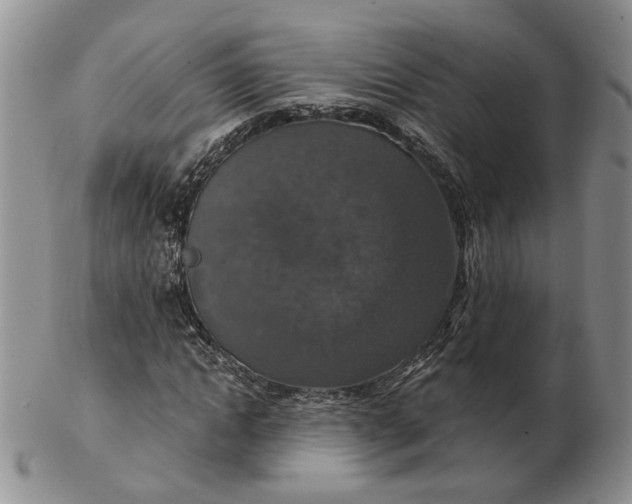 X0000102770822200809021027