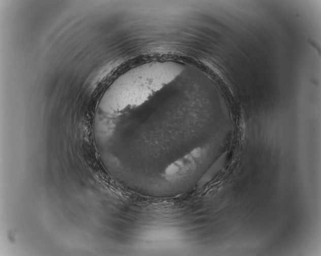 X0000102770823200809021027