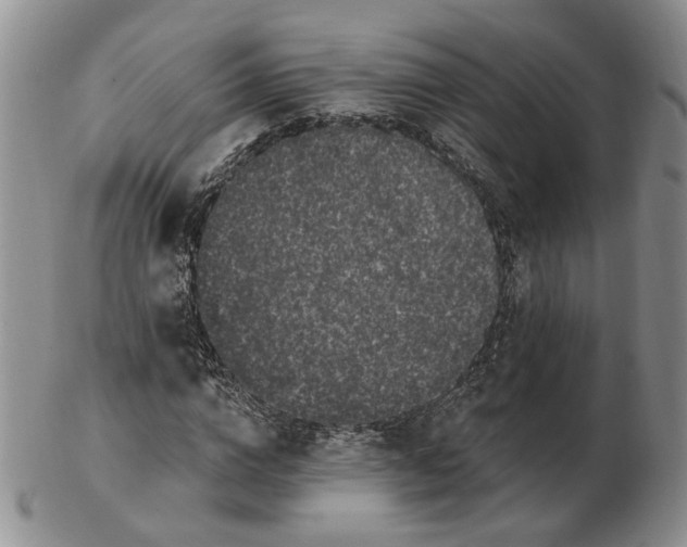 X0000102770824200809021027