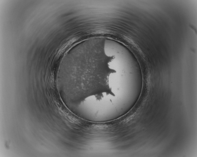 X0000102770825200809021027