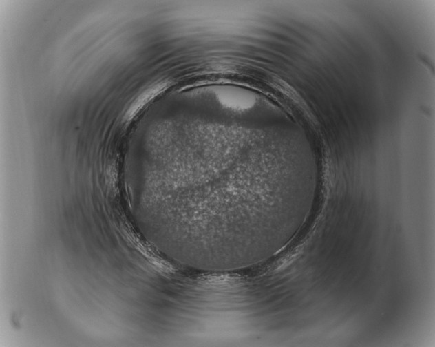 X0000102770826200809021027