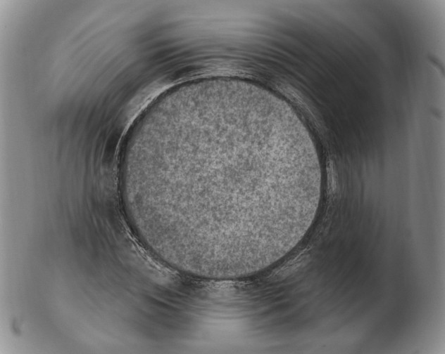 X0000102770828200809021028