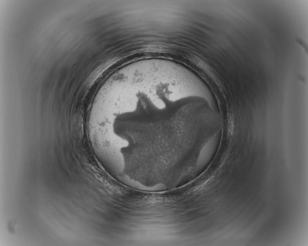 X0000102770829200809021028