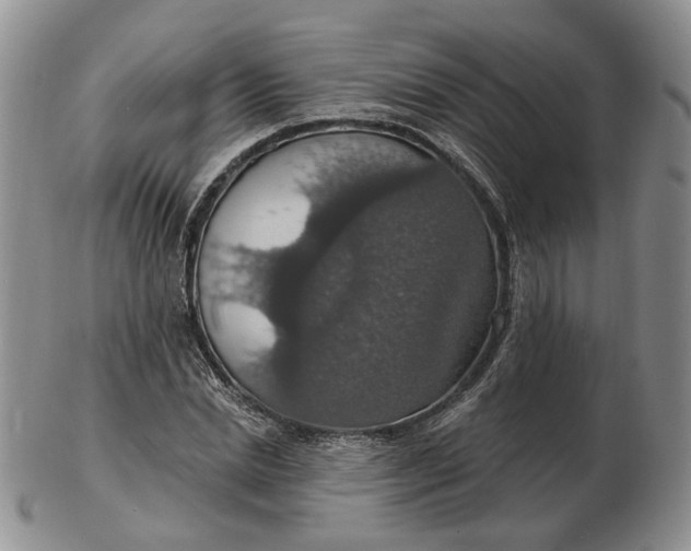 X0000102770830200809021028