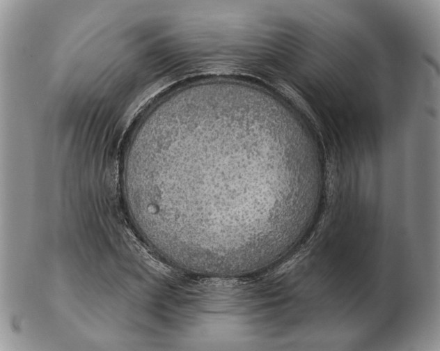 X0000102770831200809021028