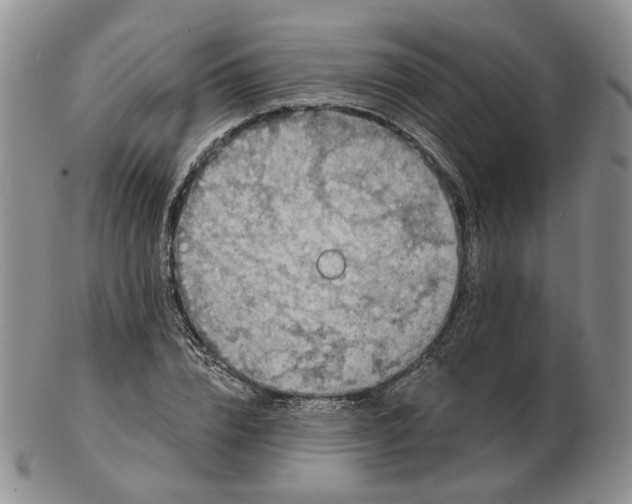 X0000102770832200809021028